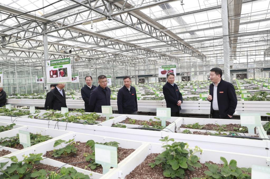 教育部职业教育发展中心来永利官网调研